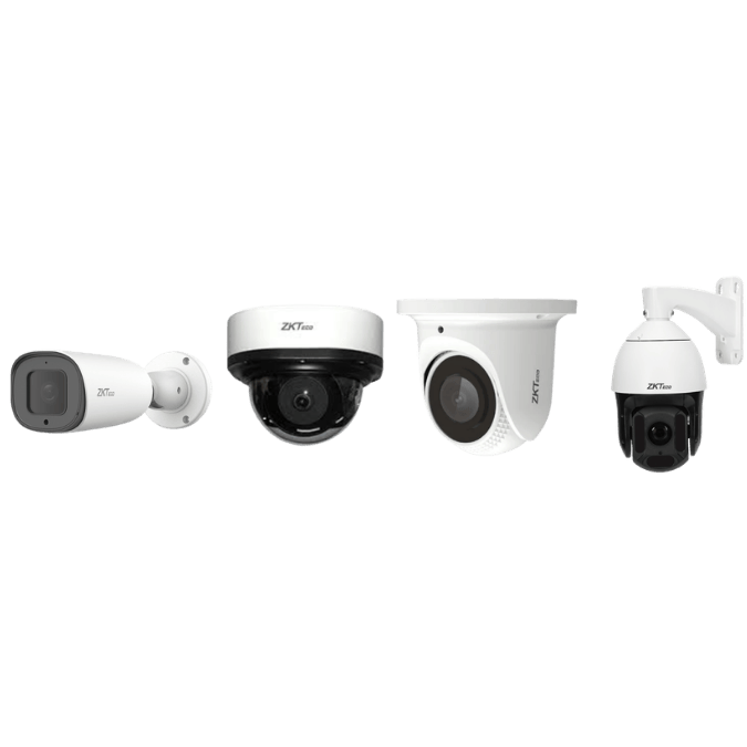 Video Surveillance Systems